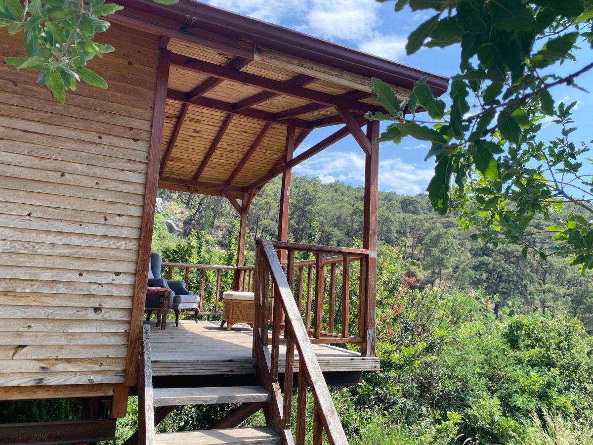Apartament Casa Roja Cedit Zewnętrze zdjęcie