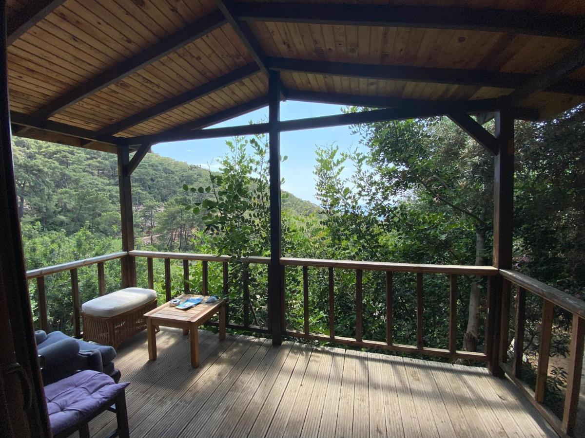 Apartament Casa Roja Cedit Zewnętrze zdjęcie