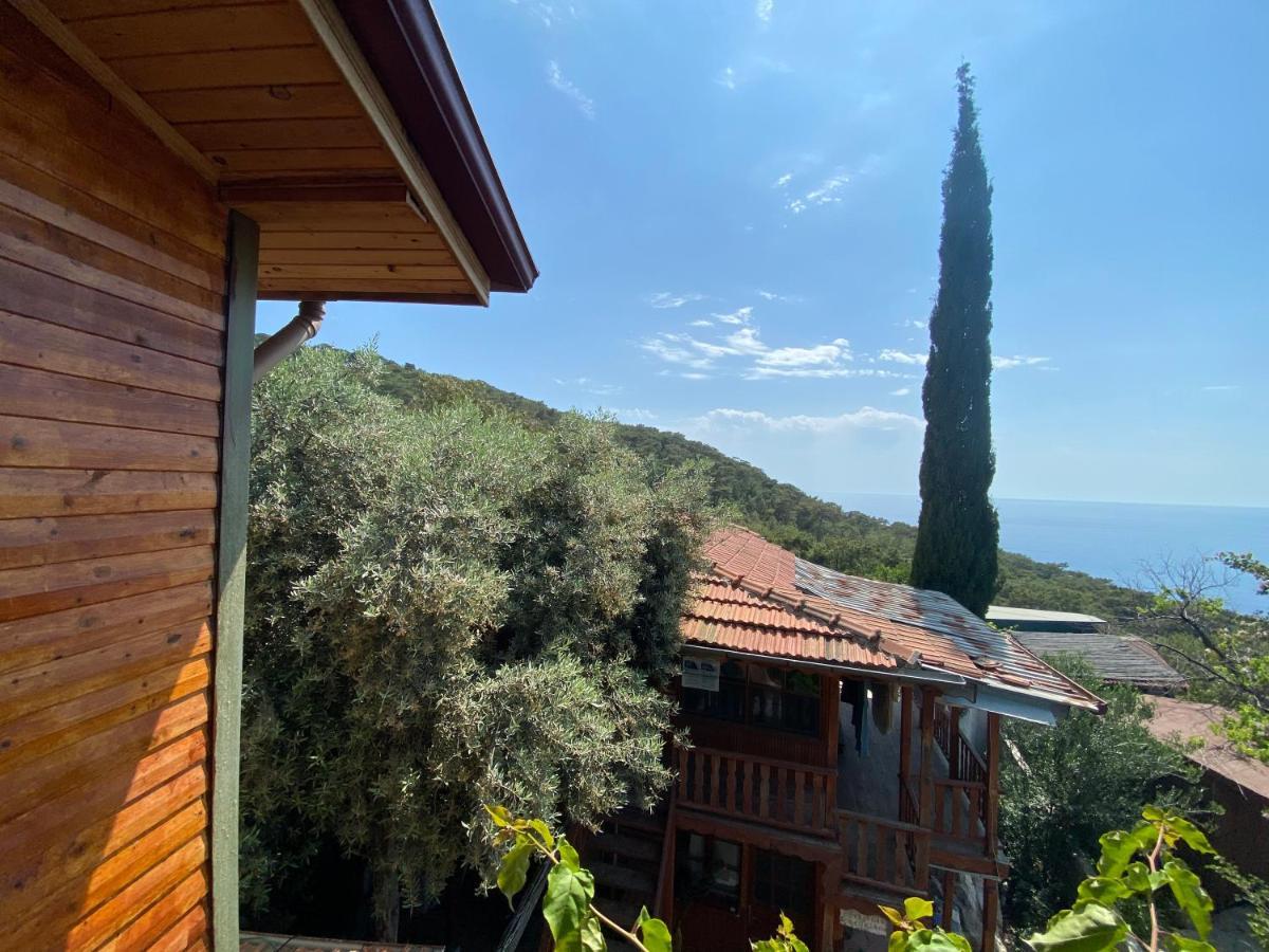 Apartament Casa Roja Cedit Zewnętrze zdjęcie