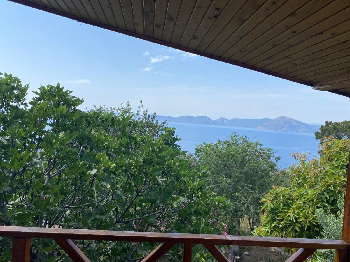 Apartament Casa Roja Cedit Zewnętrze zdjęcie