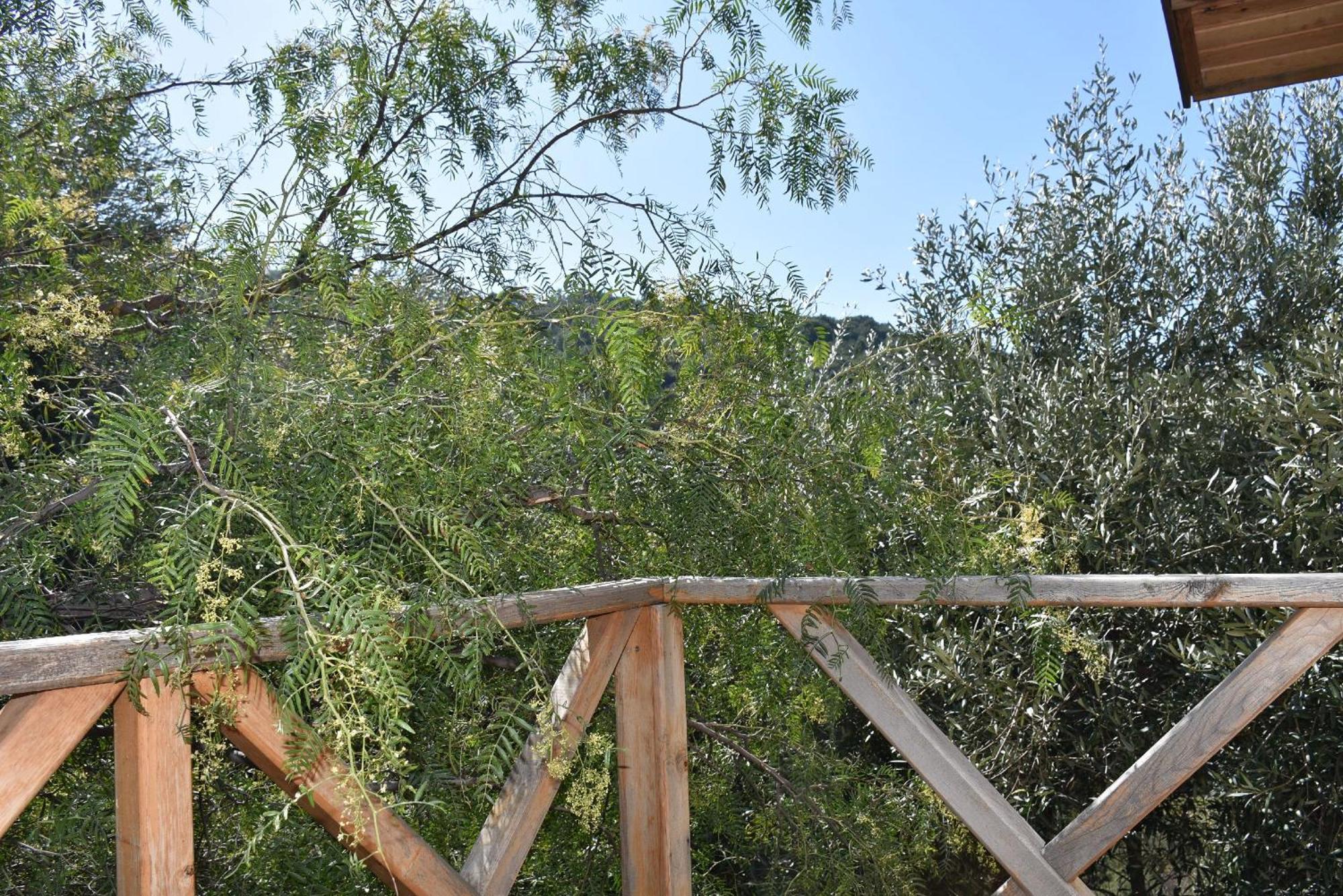 Apartament Casa Roja Cedit Pokój zdjęcie