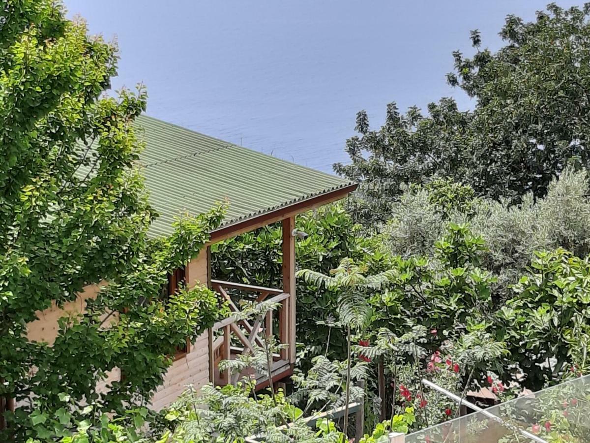 Apartament Casa Roja Cedit Zewnętrze zdjęcie